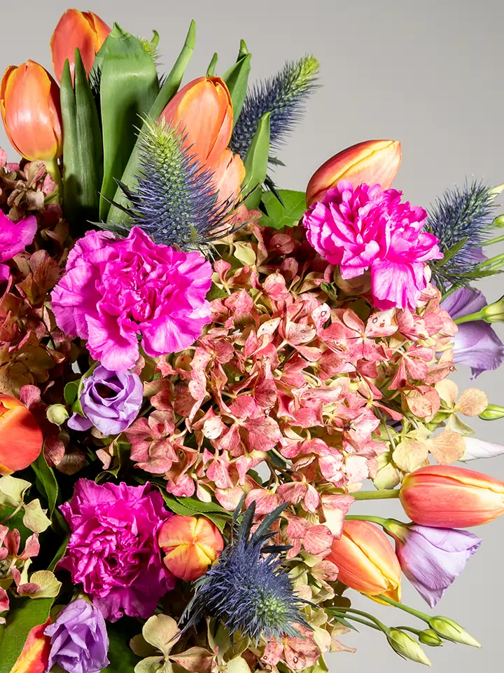 Bouquet con ortensia garofani tulipani eryngium macro